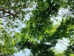 -水濂山森林公园