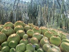 -深圳仙湖植物园