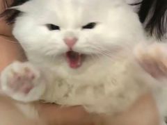 -永和大王(春日上新·军博店)