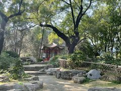 -国家植物园南园