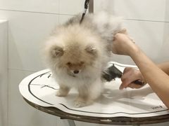 -悠尼宠物·独立低压伊珊娜洗护·美容·寄养(兰谷路店)