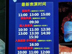 -合肥海洋世界