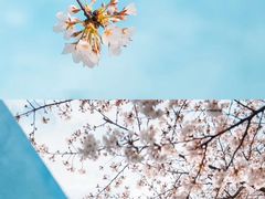 -龙美术馆(西岸馆)