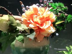 -如轩·海鲜砂锅粥·潮汕菜(南城店)