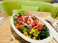-油梨树 AVOCADO TREE(亮马桥店)
