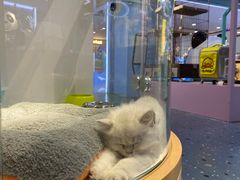 -龟与熊猫宠物公园(南坪店)