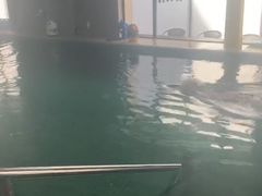-BlueBubble蓝泡泡婴幼儿游泳会所(合川路店)