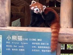 -柳州市动物园