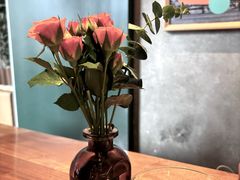 -O'eat Blossom&Pelican(深圳首店)
