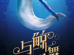 -芜湖新华联大白鲸海洋公园