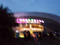 -宝能国际体育演艺中心