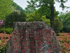 -金钉子远古世界景区