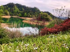 -千岛湖龙川湾