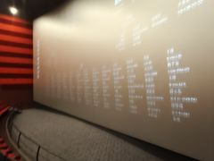 -华谊兄弟影院(IMAX洋桥店)