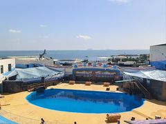 -海合安青岛极地海洋公园