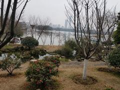 -食膳公园包子铺(烈士公园店)