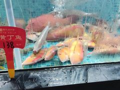 -抱德·潮汕味(琶洲店原惠城鱼仔)
