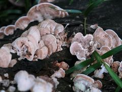 -华南国家植物园-售票处