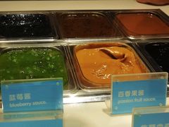-Salud撒露欧洲冻酸奶(蓝色港湾店)