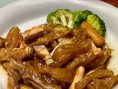 葱烧蹄筋-三义和酒楼(千佛山店)