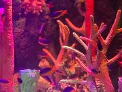 -沈阳海洋探索中心