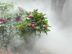 -北京西山国家森林公园