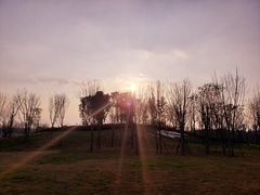 -白鹭湾湿地公园