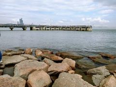 -深圳湾公园(南山区)