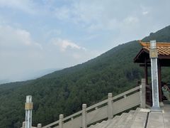 -铁山坪森林公园