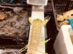 -盒马鲜生(大成店)