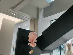点击看大图 -金夫人婚纱摄影(总店)