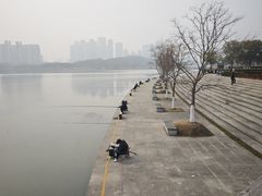 -月湖风景区