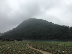 -广州市石门国家森林公园
