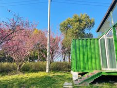 -广富林郊野公园