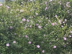 -金堂县云顶石城风景区