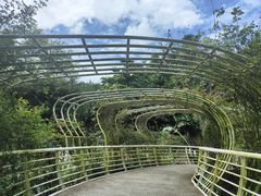 -深圳仙湖植物园