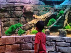 -沈阳海洋探索中心