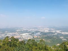 -水濂山森林公园