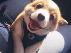 -外滩二十二号艺术中心