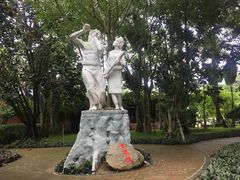 -瑞丽独树成林风景区