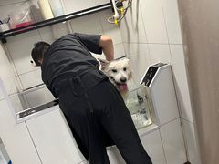-宠物家(双井店)