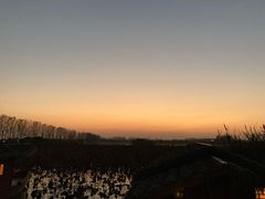 -池杉湖湿地公园
