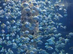 -厦门海底世界
