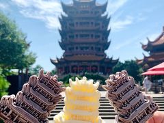 -黄鹤楼公园(黄鹤楼)