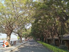 -大湾区中央湿地公园
