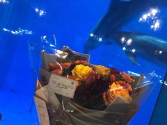 -植物学家的女儿(北马道巷店)