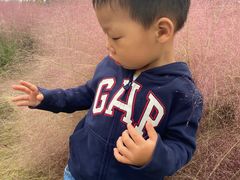 -中国天府农业博览园