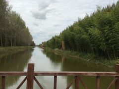 -黄海国家森林公园