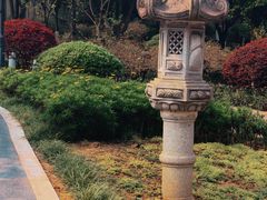 -大渡口区义渡公园