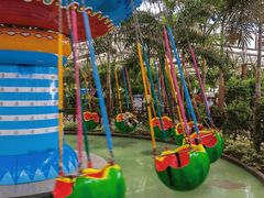 -南宫五洲植物乐园